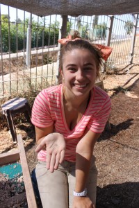 Support the Mount Zion Dig